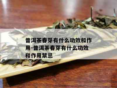 普洱茶春芽有什么功效和作用-普洱茶春芽有什么功效和作用禁忌