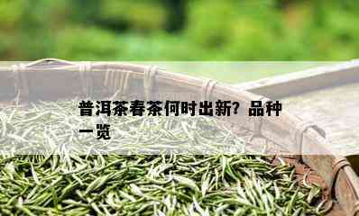 普洱茶春茶何时出新？品种一览