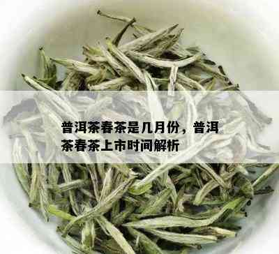 普洱茶春茶是几月份，普洱茶春茶上市时间解析