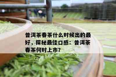 普洱茶春茶什么时候出的更好，探秘更佳口感：普洱茶春茶何时上市？