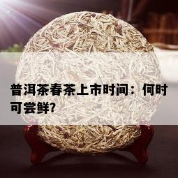 普洱茶春茶上市时间：何时可尝鲜？