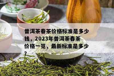 普洱茶春茶价格标准是多少钱，2023年普洱茶春茶价格一览，最新标准是多少？