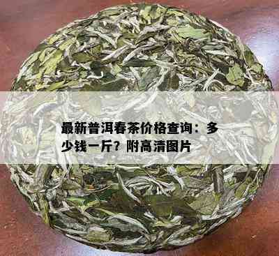 最新普洱春茶价格查询：多少钱一斤？附高清图片