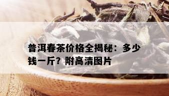 普洱春茶价格全揭秘：多少钱一斤？附高清图片