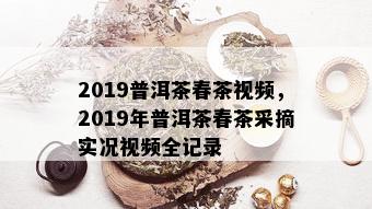 2019普洱茶春茶视频，2019年普洱茶春茶采摘实况视频全记录