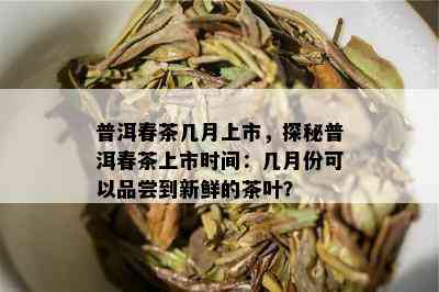 普洱春茶几月上市，探秘普洱春茶上市时间：几月份可以品尝到新鲜的茶叶？