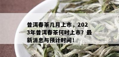 普洱春茶几月上市，2023年普洱春茶何时上市？最新消息与预计时间！