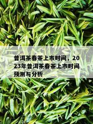 普洱茶春茶上市时间，2023年普洱茶春茶上市时间预测与分析