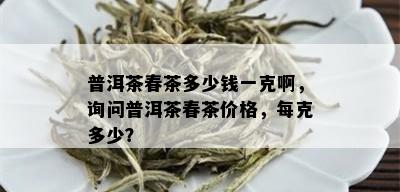 普洱茶春茶多少钱一克啊，询问普洱茶春茶价格，每克多少？