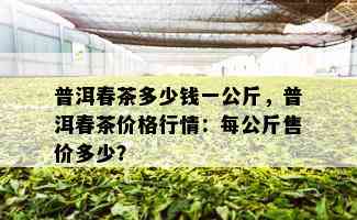 普洱春茶多少钱一公斤，普洱春茶价格行情：每公斤售价多少？