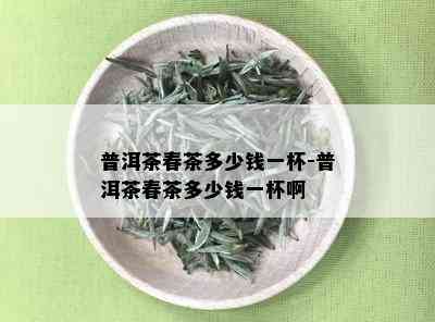 普洱茶春茶多少钱一杯-普洱茶春茶多少钱一杯啊