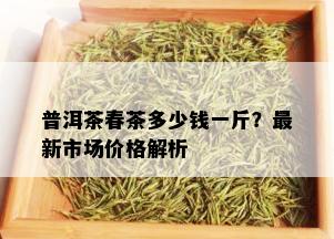 普洱茶春茶多少钱一斤？最新市场价格解析