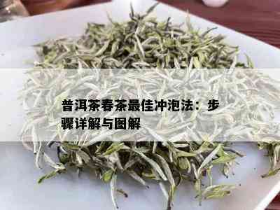 普洱茶春茶更佳冲泡法：步骤详解与图解