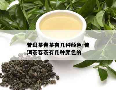 普洱茶春茶有几种颜色-普洱茶春茶有几种颜色的