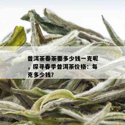 普洱茶春茶要多少钱一克呢，探寻春季普洱茶价格：每克多少钱？