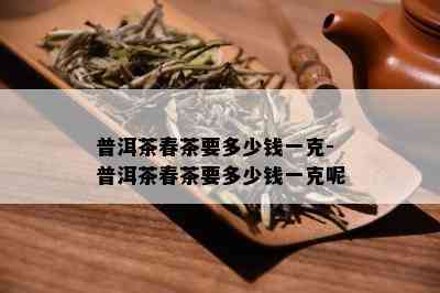 普洱茶春茶要多少钱一克-普洱茶春茶要多少钱一克呢