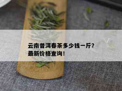 云南普洱春茶多少钱一斤？最新价格查询！