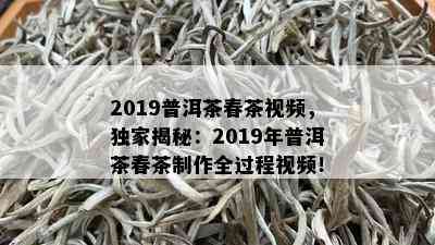 2019普洱茶春茶视频，独家揭秘：2019年普洱茶春茶制作全过程视频！