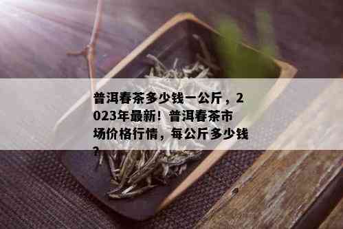 普洱春茶多少钱一公斤，2023年最新！普洱春茶市场价格行情，每公斤多少钱？