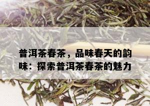 普洱茶春茶，品味春天的韵味：探索普洱茶春茶的魅力