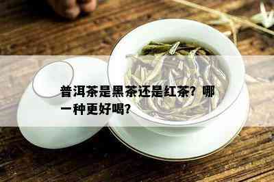 普洱茶是黑茶还是红茶？哪一种更好喝？