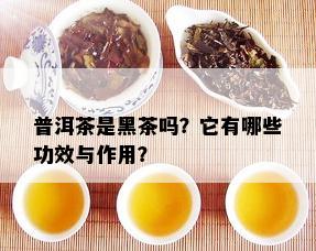 普洱茶是黑茶吗？它有哪些功效与作用？