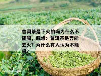 普洱茶是下火的吗为什么不能喝，解惑：普洱茶是否能去火？为什么有人认为不能喝？