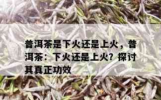 普洱茶是下火还是上火，普洱茶：下火还是上火？探讨其真正功效