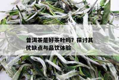 普洱茶是好茶叶吗？探讨其优缺点与品饮体验