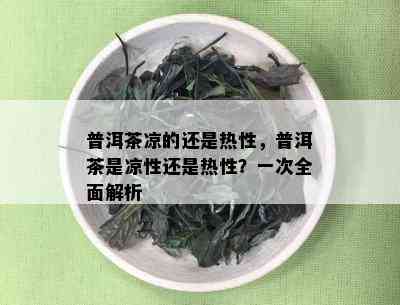 普洱茶凉的还是热性，普洱茶是凉性还是热性？一次全面解析