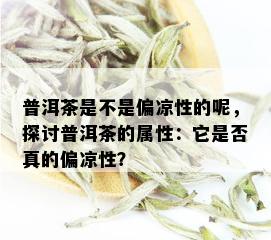 普洱茶是不是偏凉性的呢，探讨普洱茶的属性：它是否真的偏凉性？