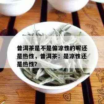 普洱茶是不是偏凉性的呢还是热性，普洱茶：是凉性还是热性？