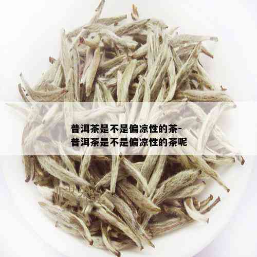 普洱茶是不是偏凉性的茶-普洱茶是不是偏凉性的茶呢