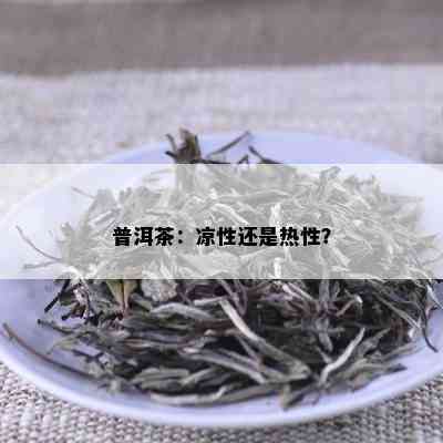 普洱茶：凉性还是热性？