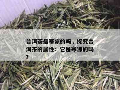 普洱茶是寒凉的吗，探究普洱茶的属性：它是寒凉的吗？