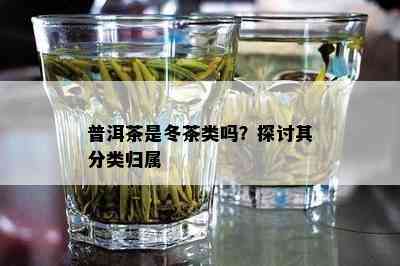 普洱茶是冬茶类吗？探讨其分类归属