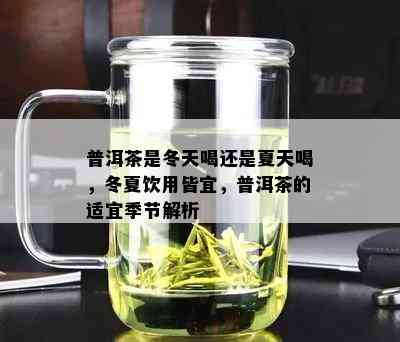 普洱茶是冬天喝还是夏天喝，冬夏饮用皆宜，普洱茶的适宜季节解析