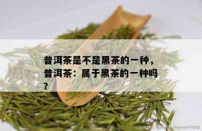 普洱茶是不是黑茶的一种，普洱茶：属于黑茶的一种吗？