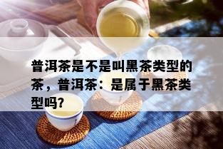 普洱茶是不是叫黑茶类型的茶，普洱茶：是属于黑茶类型吗？