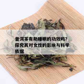 普洱茶有助睡眠的功效吗？探究其对女性的影响与科学依据