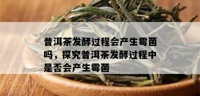 普洱茶发酵过程会产生霉菌吗，探究普洱茶发酵过程中是否会产生霉菌