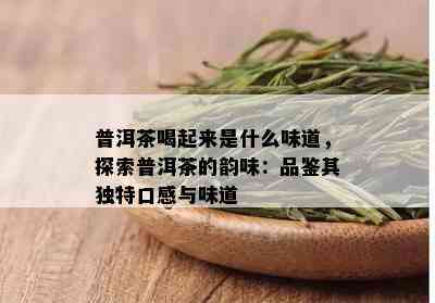 普洱茶喝起来是什么味道，探索普洱茶的韵味：品鉴其独特口感与味道