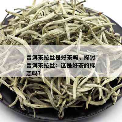 普洱茶拉丝是好茶吗，探讨普洱茶拉丝：这是好茶的标志吗？