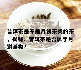 普洱茶是不是月饼茶类的茶，揭秘：普洱茶是否属于月饼茶类？