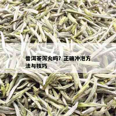 普洱茶泻火吗？正确冲泡方法与技巧