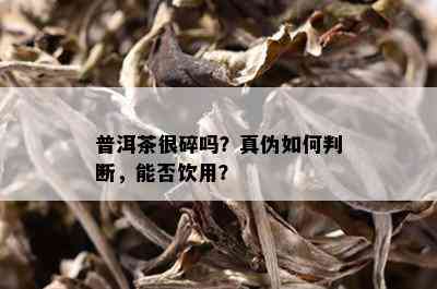 普洱茶很碎吗？真伪如何判断，能否饮用？