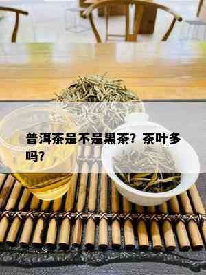 普洱茶是不是黑茶？茶叶多吗？