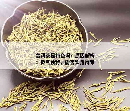 普洱茶是特色吗？原因解析：香气独特，能否饮用待考