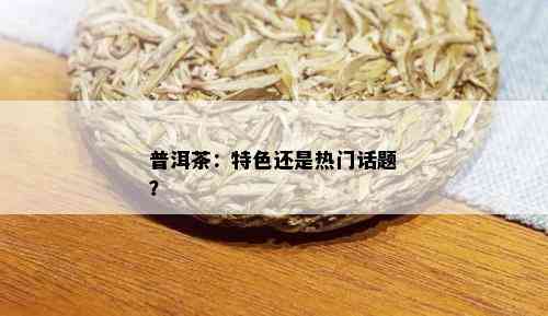 普洱茶：特色还是热门话题？