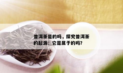 普洱茶是的吗，探究普洱茶的起源：它是属于的吗？